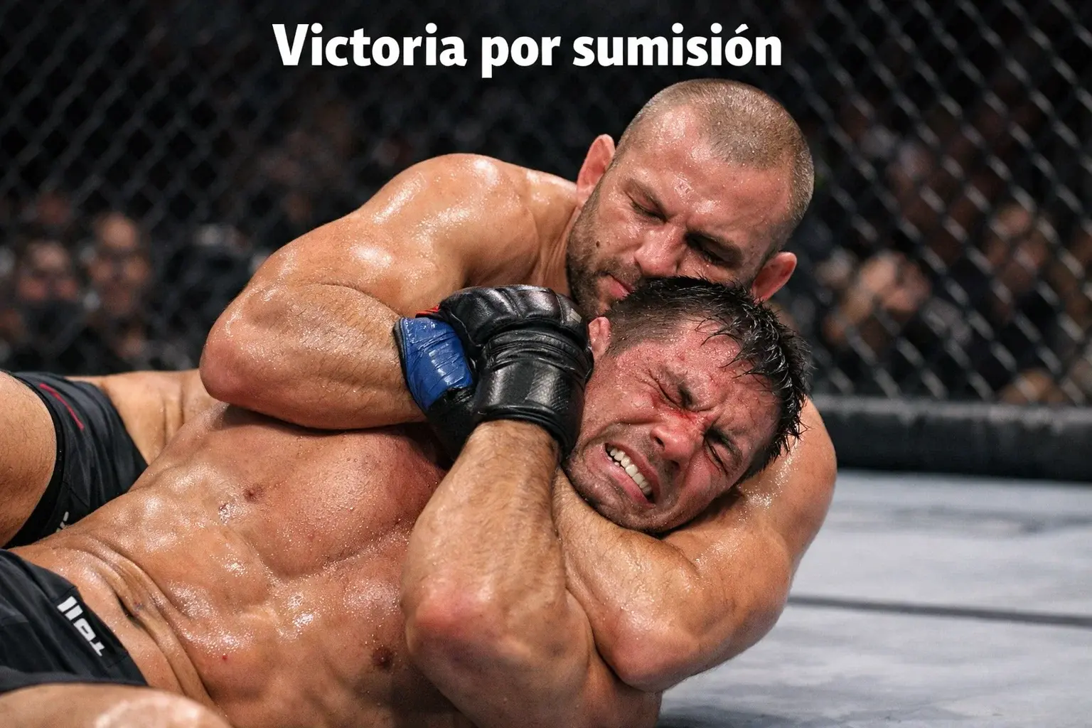 Métodos de victoria en UFC: KO, sumisión y decisión