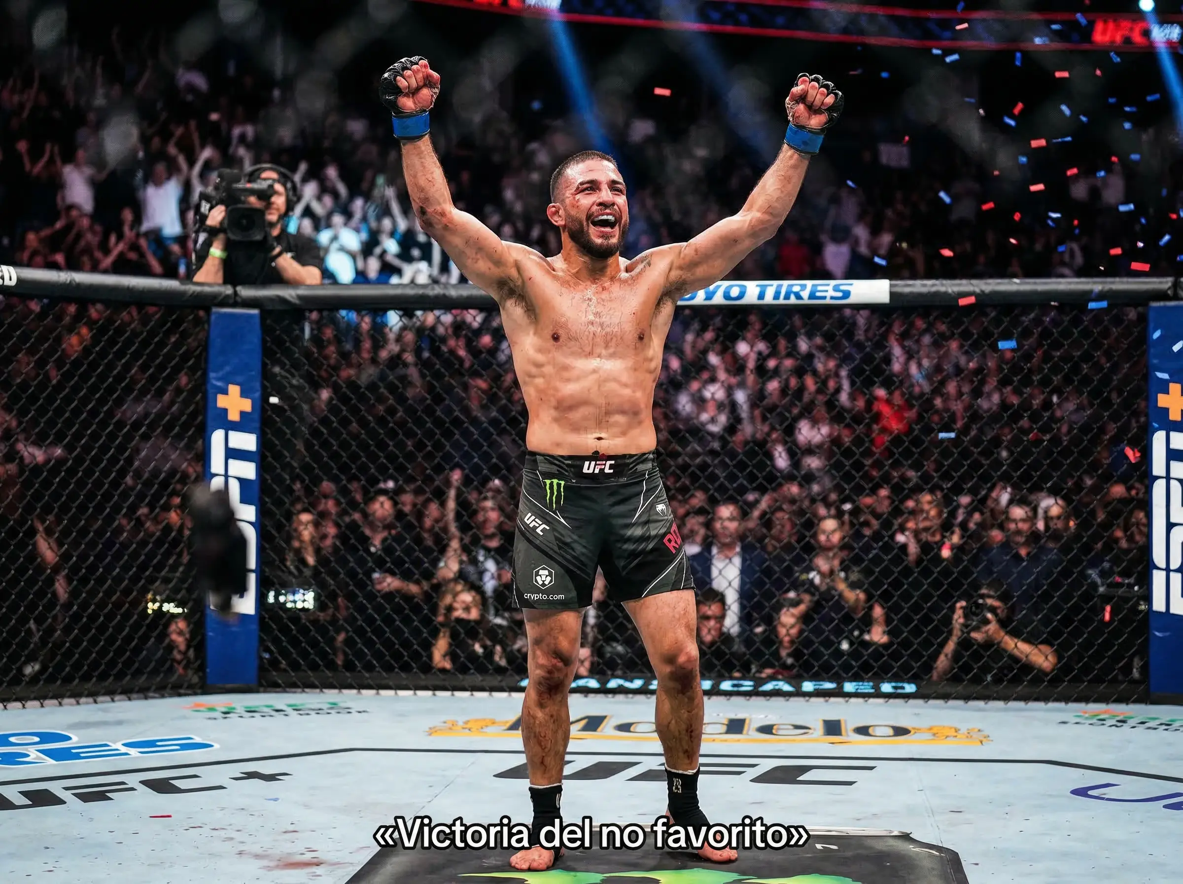 Estrategias para apostar a underdogs en peleas UFC